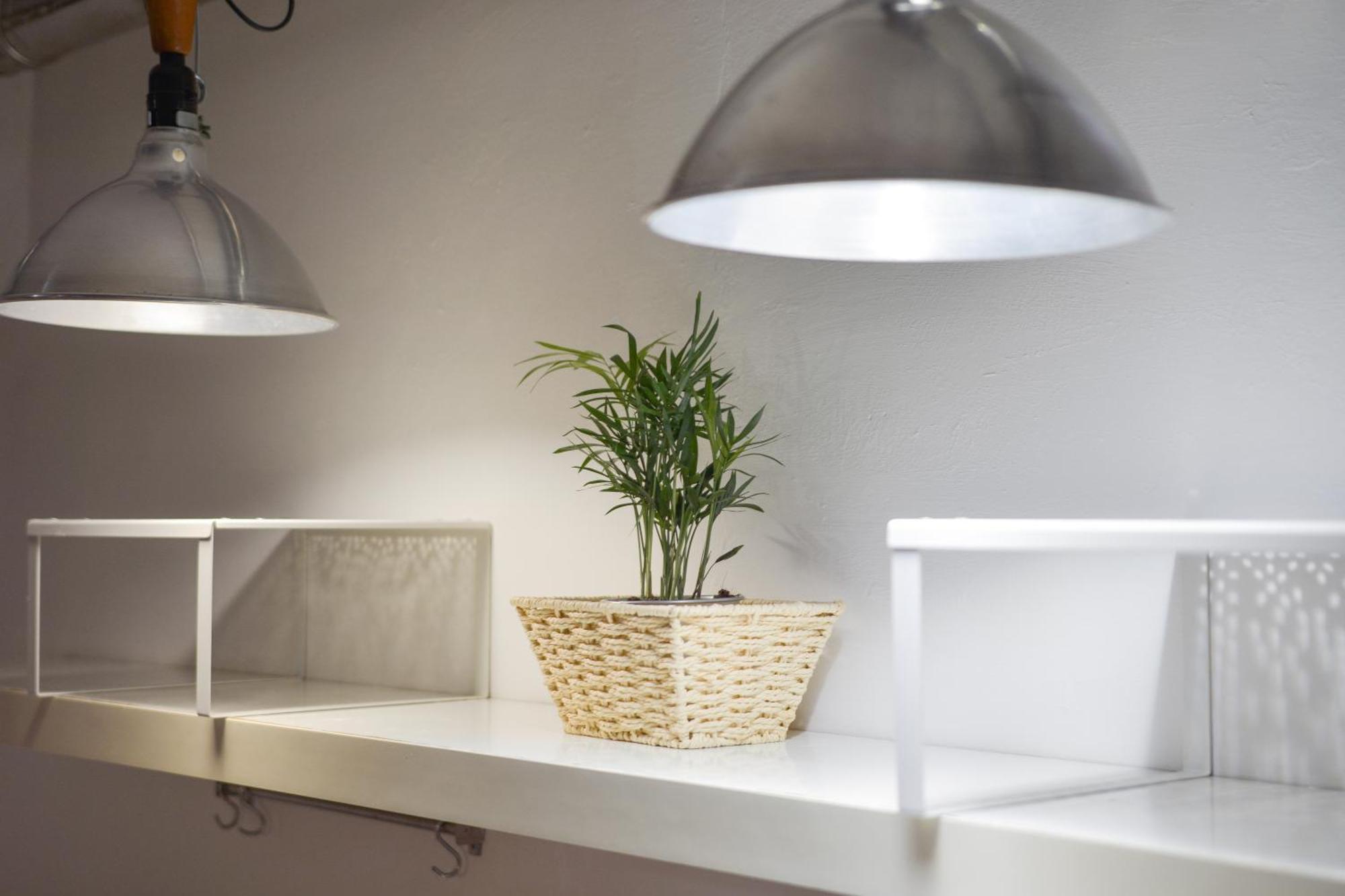 Apartamento San Pierino Florencia